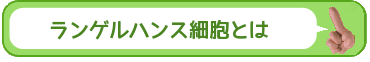 ランゲルハンス細胞とは